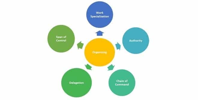 Principles of organization
