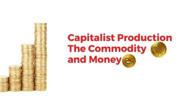 Capitalist Production The Commodity and Money